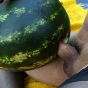 Horny shemale Rabeche fucking a bigass watermelon